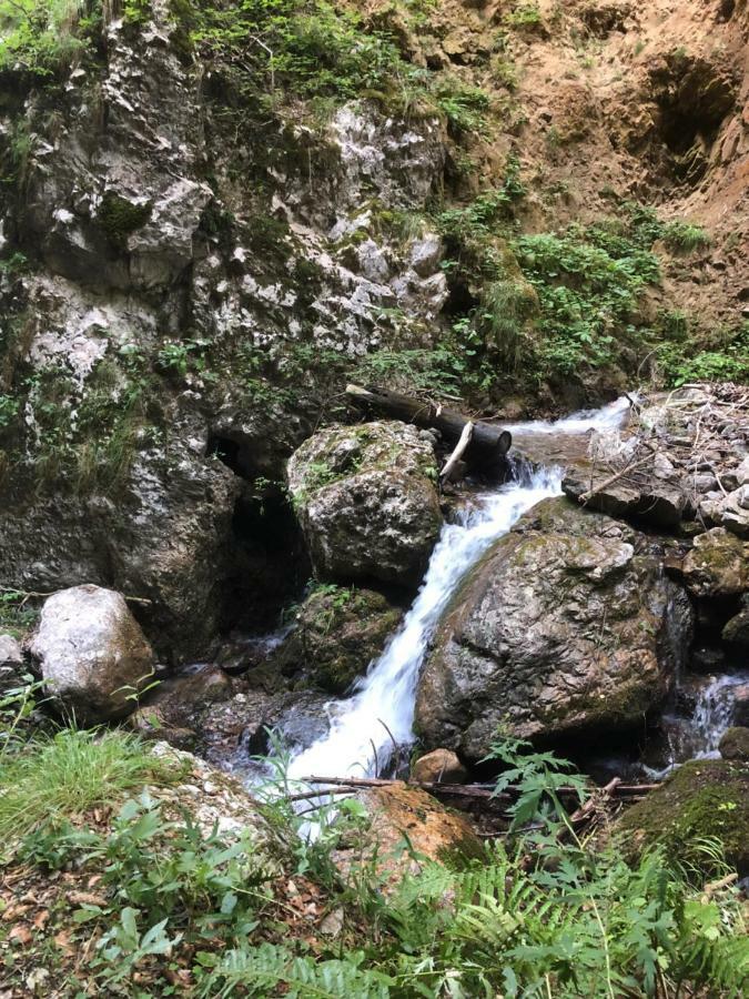 Ferienwohnung Andritsch Sankt Georgen im Gailtal 외부 사진